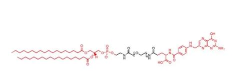 DSPE PEG5000 Folate二硬脂酰磷脂酰乙酰胺 聚乙二醇 叶酸 2023动态已更新 产品说明 技术文章 西安齐岳生物科技有限公司