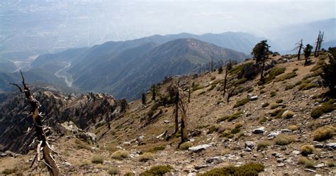 Ontario Peak And Cucamonga Peak Via Icehouse Canyon Trailhead Mount