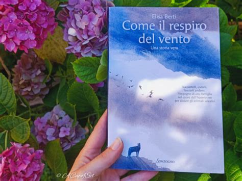 Come Il Respiro Del Vento Di Elisa Berti