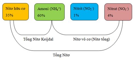 Tìm Hiểu Về Chu Trình Nitơ Và ứng Dụng Của Nó Trong Xlnt