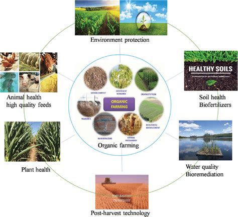 Organic Agriculture Diagram