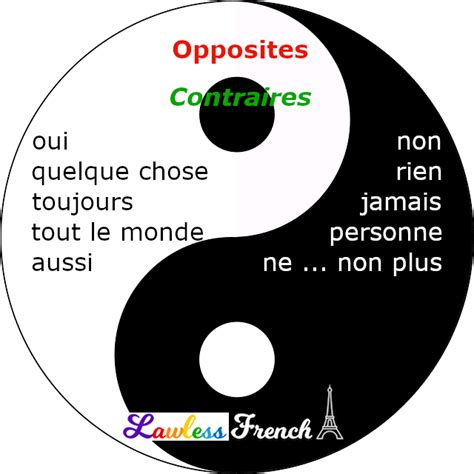 French Opposites Lawless French Antonyms French Flashcards French Grammar Learn French