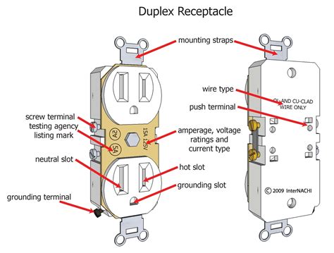 Duplex Receptacle Wiring Diagram - Herbally