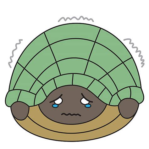 130 Scared Turtle Stock Illustrations Royalty Free Vector Graphics