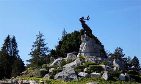 M Morial Terre Neuvien De Beaumont Hamel Amiens Tourisme