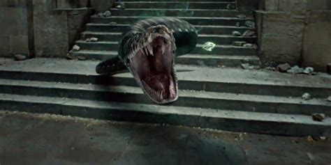 Where Did Voldemort Get Nagini