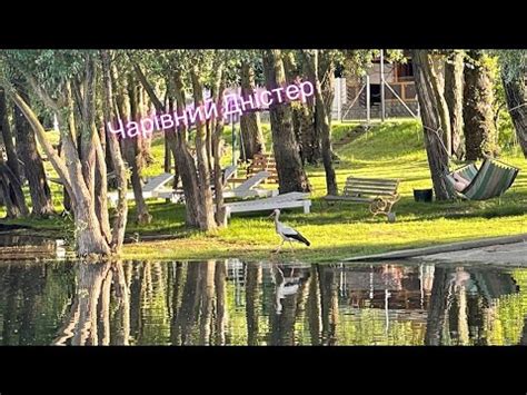 Вороновиця на Дністрі - YouTube