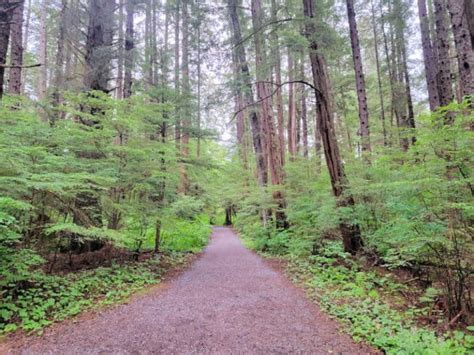 Sitka National Historical Park - Alaska | Park Ranger John