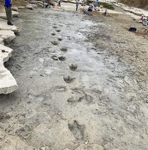 Stonieth 🧬🧬 On Twitter Dinosaur Tracks From 113 Million Years Ago