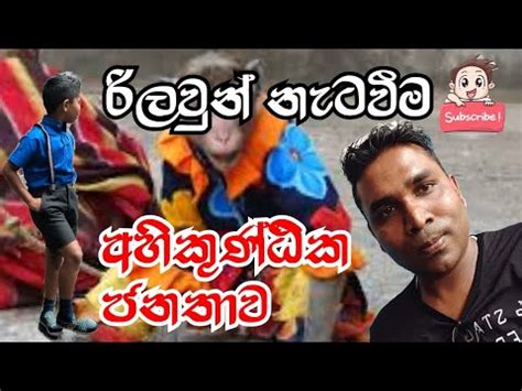 රලවන නටවම අහකණඨක ජනතව travel sri lanka YouTube