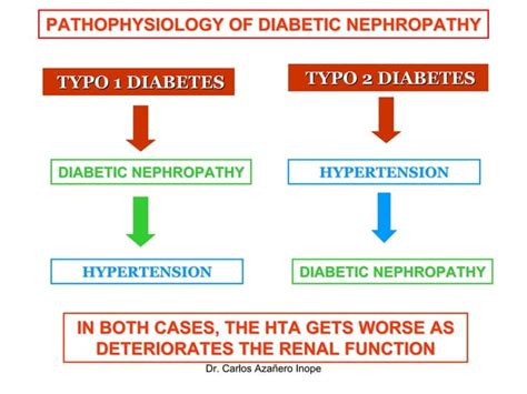 PATHOPHYSIOLOGY OF DIABETIC NEPHROPATHY | PPT