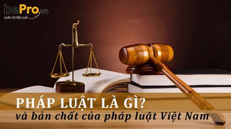 Pháp Luật Là Gì Gdcd 12 Kiến Thức Cần Biết Về Pháp Luật Và Vai Trò