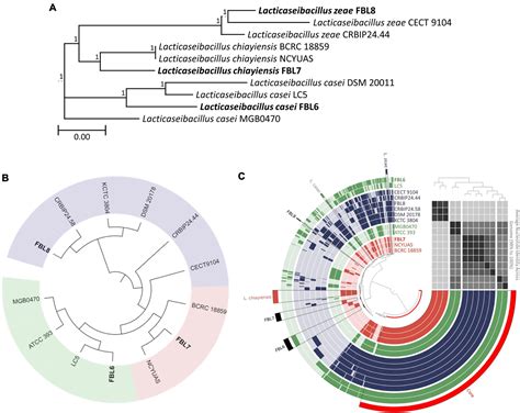 Frontiers Complete Genome Sequencing And Comparative Genomics Of