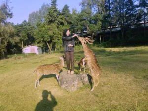 Tempat Wisata Di Pangalengan Yang Lagi Viral Kata Omed