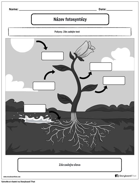 foto portrét bw2 Storyboard por cs examples