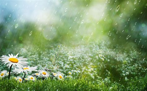 Rainy Season HD Wallpapers - Wallpaper Cave