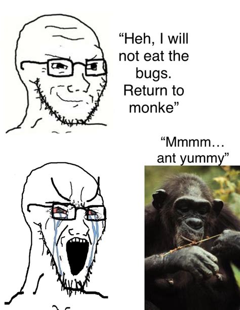 Chad monke : r/ape