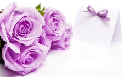 Lilac Roses wallpaper | 1920x1200 | #28079