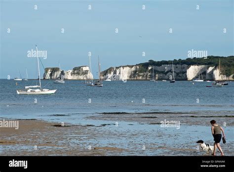 Looking Out Towards Old Harry Rocks From Middle Beach And Knoll Beach