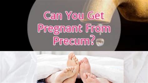 Can You Get Pregnant From Pre Cum Youtube