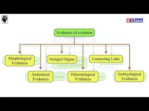 Standard Subject Science Chp Heredity And Evolution Mind Map