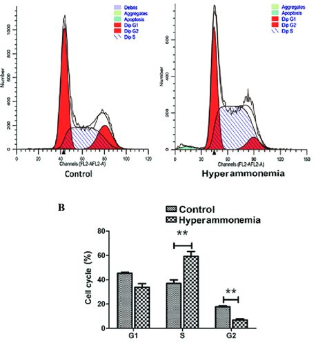 Cell cycle analysis. (A) Flow cytometry analysis of control and ...