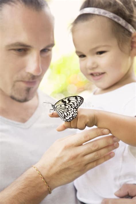 362 Butterfly Park Malaysia Stock Photos Free And Royalty Free Stock