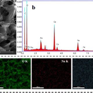 A FE SEM Image Of The Developed NM88B GO SA Composite Aerogel B EDS