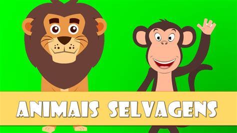 Animais Selvagens Vídeo Educativo Youtube