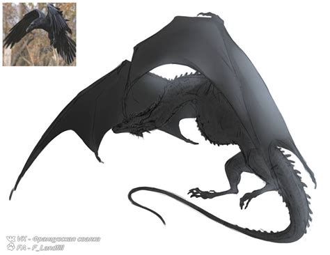 Wyvern Fullbody Sketch By Flandfill On Deviantart