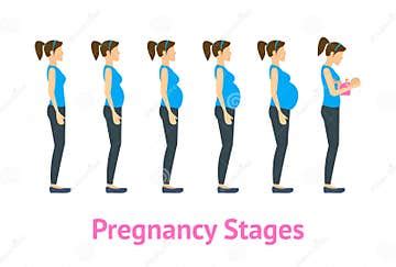 Cartoon Pregnancy Stages and Birth Set. Vector Stock Vector - Illustration of childbirth, belly ...