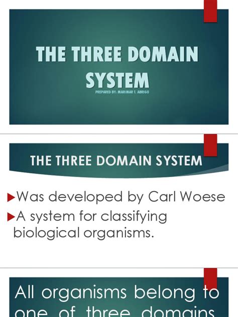 domain system prepared  marimar  abrigo  archaea