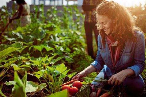 Horticultura Arkiplus