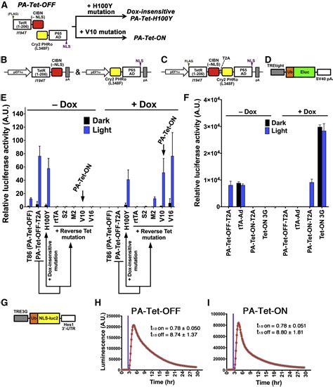 Light Control Of The Tet Gene Expression System In Mammalian Cells