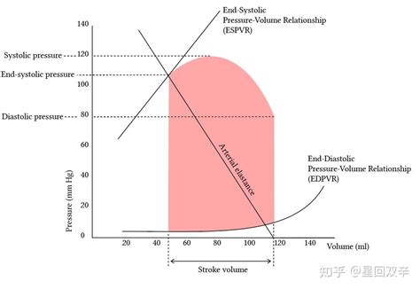 Left Ventricular Pressure Volume Pv Loops