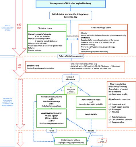 Algorithm For Management Of Pph After Vaginal Delivery For General