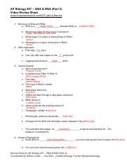 Ap Bio Dna Rna Part Bozeman Video Review Sheet Answers Pdf