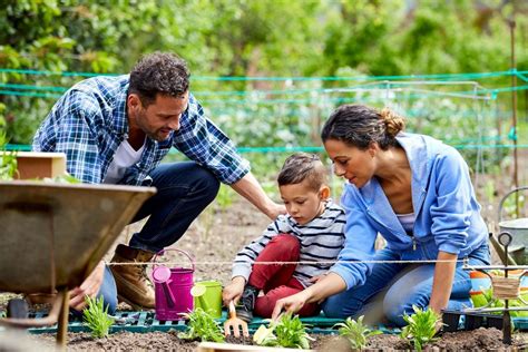 Découvrez 5 légumes simples à cultiver sans efforts idéal pour les