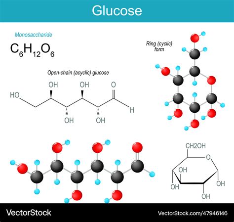 Glucose Chemical Makeup Saubhaya Makeup