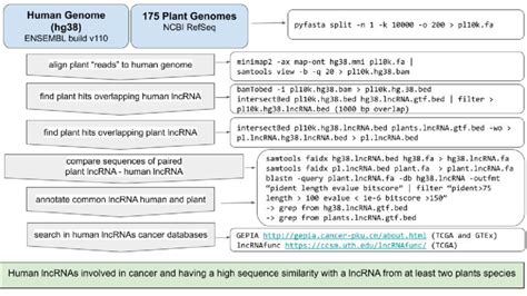 Illustration Of The Workflow Employed In The Comparative Genomics