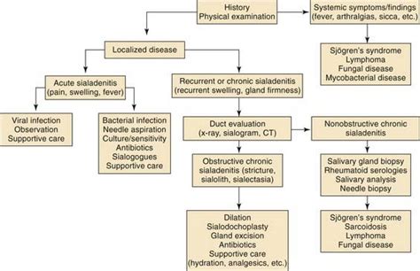 Inflammatory Disorders Of The Salivary Glands Ento Key