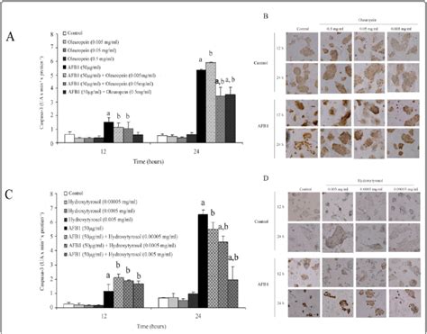 Effects Of Oleuropein And Hydroxytyrosol On Cell Necrosis A And