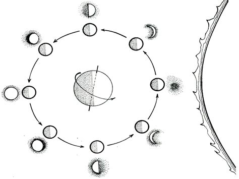 Moon Phases Diagram | Quizlet