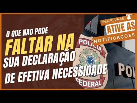 Porte De Arma O Que N O Pode Faltar Na Sua Declara O De Efetiva