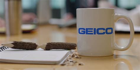 Case Study - Nat Geo Wild: Geico - the garden creative