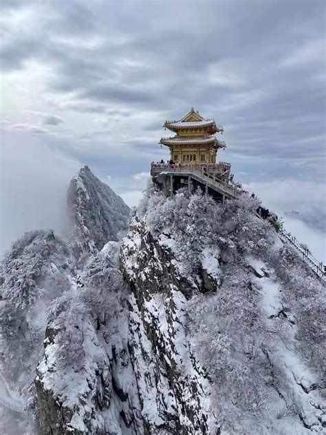 全国游客：老君山景区免门票邀您赏雪啦！凤凰网河南凤凰网