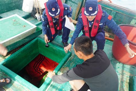 中国海警在南海开展伏季休渔同步执法行动 社会·法治 人民网