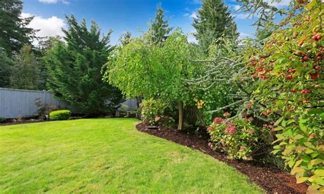 How To Kill Grass In Flower Beds Home Guide