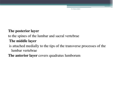 Ppt Posterior Abdominal Wall Powerpoint Presentation Free Download