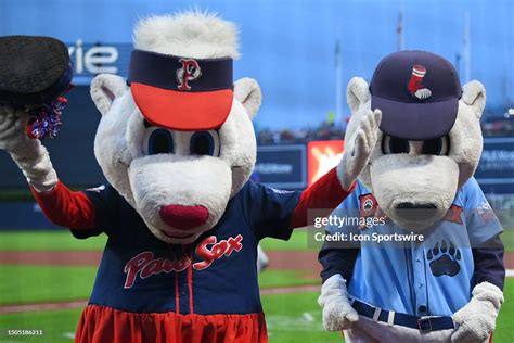 Pawtucket Red Sox mascots Sox and Paws exit the warning track after ...